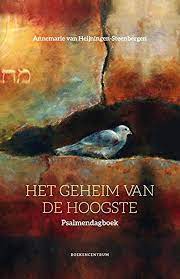 Het geheim van de Hoogste Boekomslag Het geheim van de Hoogste van Annemarie van Heijningen-Steenbergen