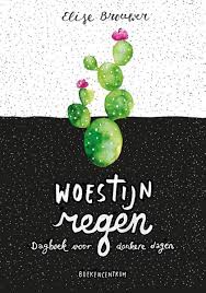 Woestijnregen Boekomslag Woestijnregen van Elise Brouwer
