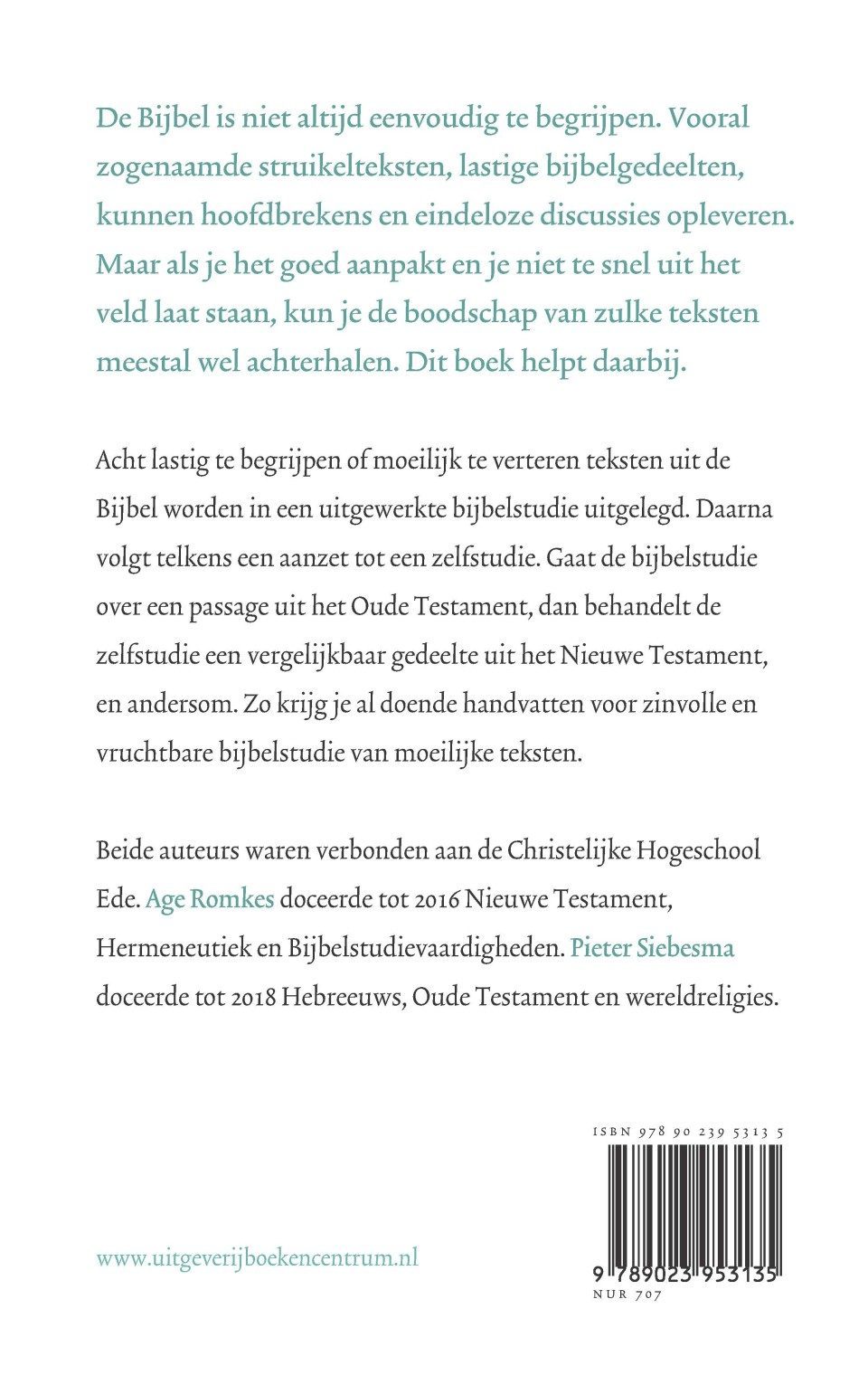 Struikelblokkenbackcover
