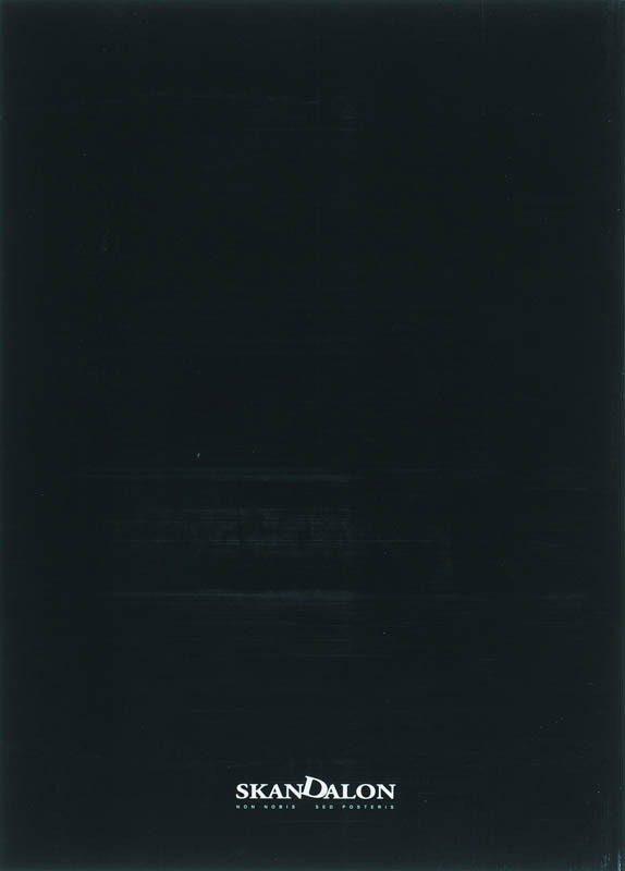 Rembrandts engelbackcover