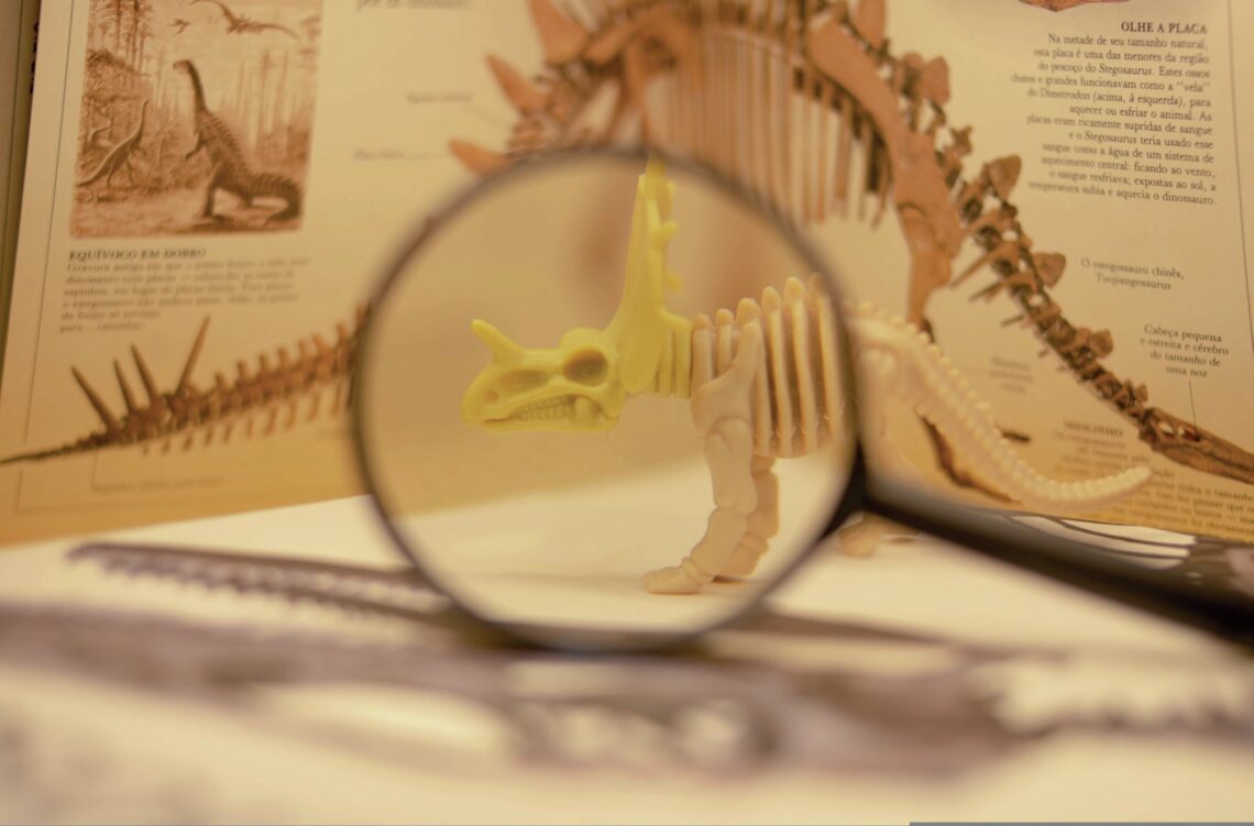 dino Skelet van een dinosaurus
