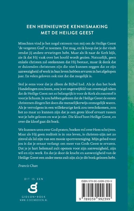 Vergeten God, Debackcover
