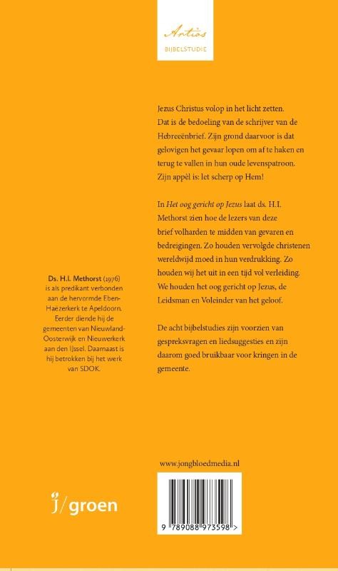 Het oog gericht op Jezusbackcover