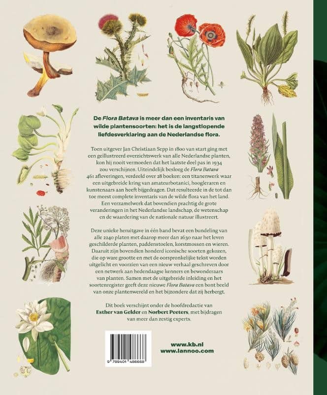 Flora Batava 1800-1934backcover