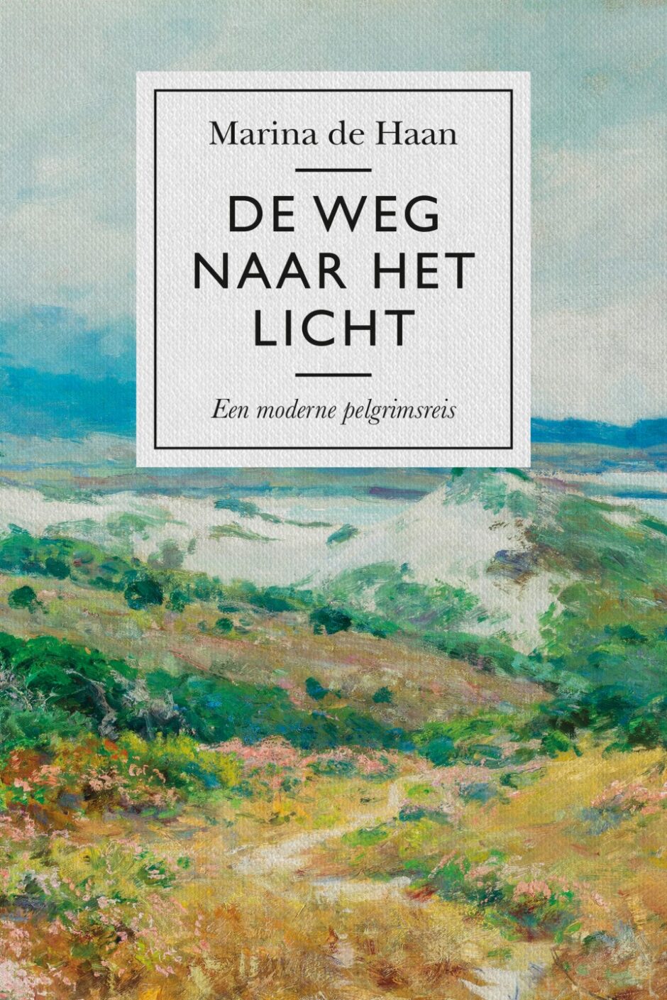 Cover van De weg naar het licht