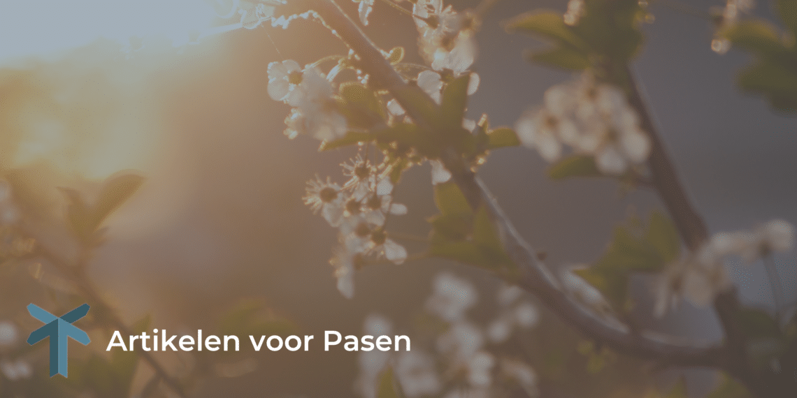 artikelen website