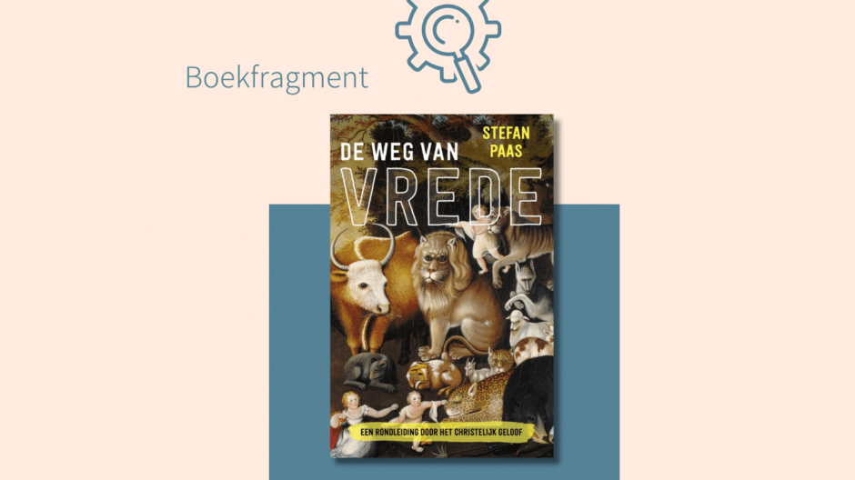 Boek De weg van vrede van Stefan Paas