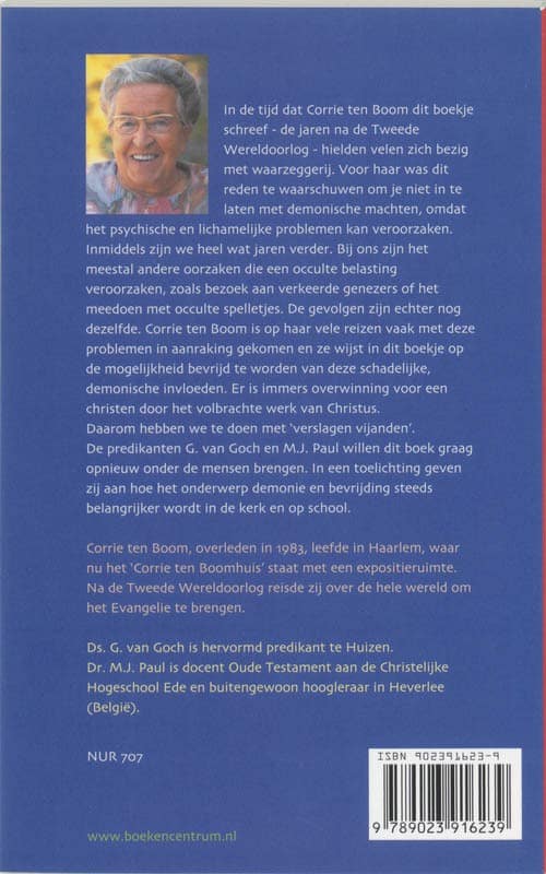 Verslagen vijandenbackcover