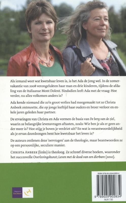 De berg van de zielbackcover