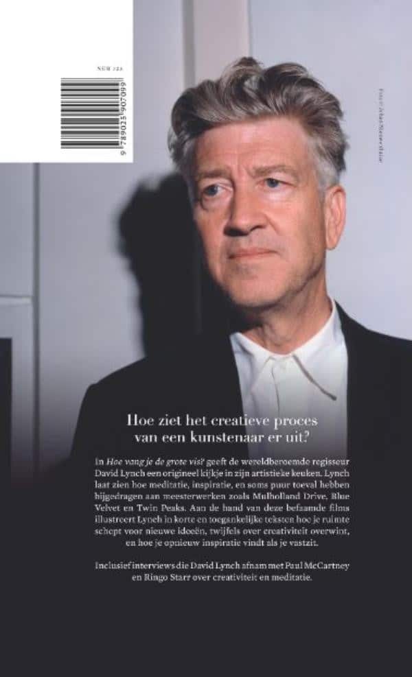 Hoe vang je de grote vis?backcover
