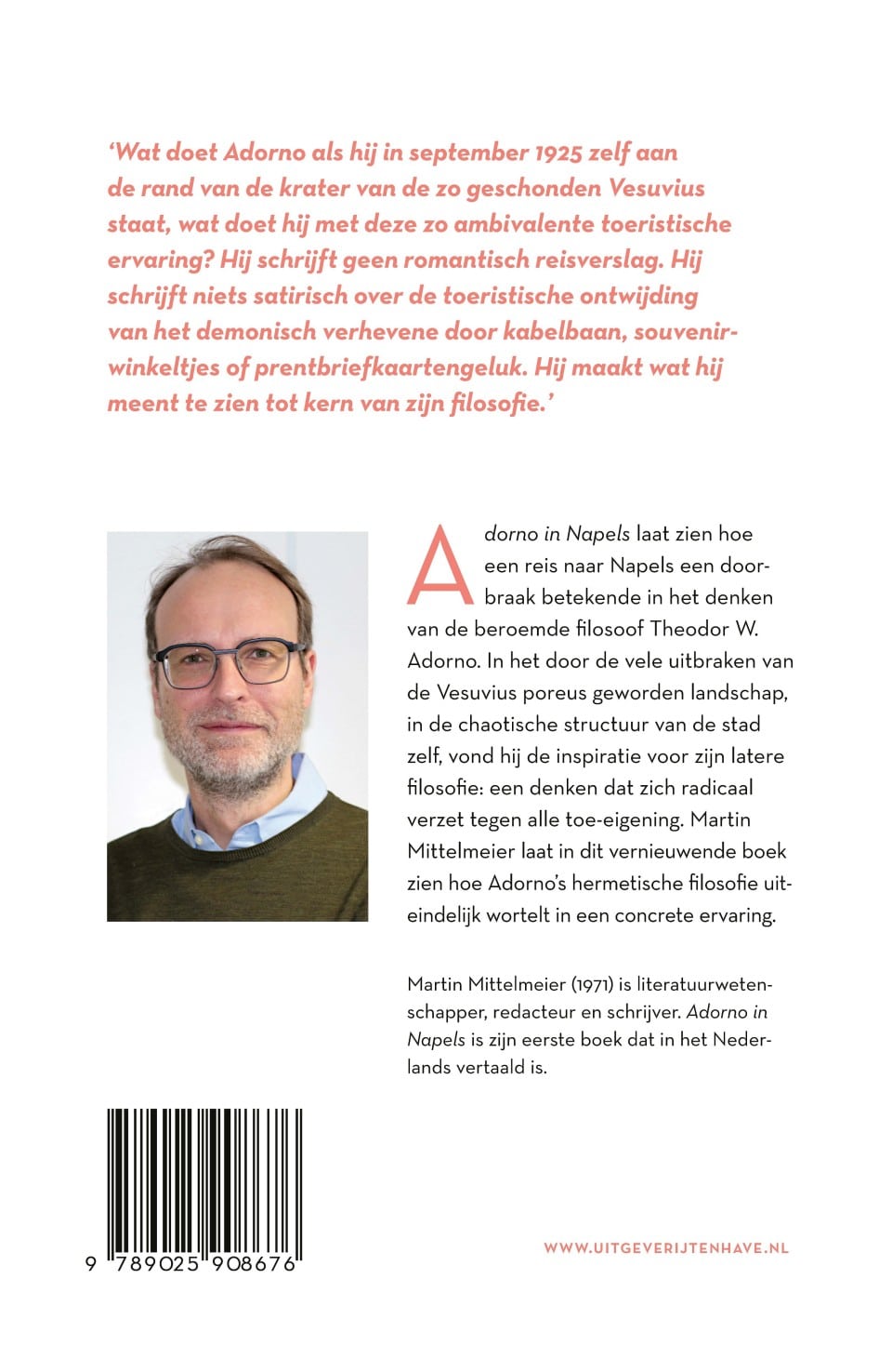 Adorno in Napelsbackcover