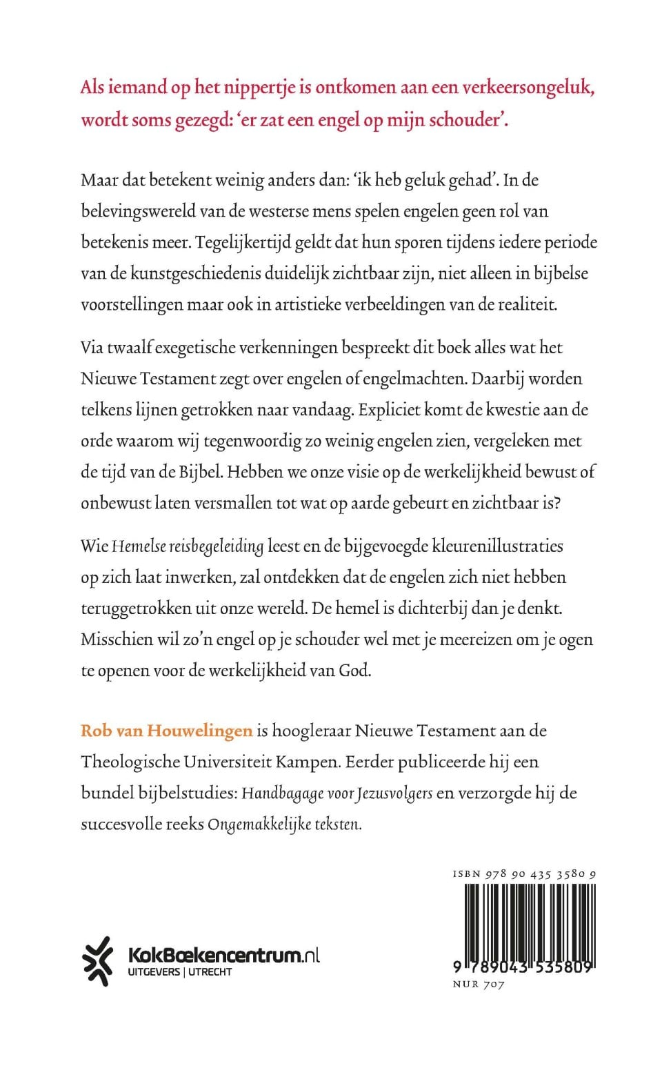 Hemelse reisbegeleidingbackcover