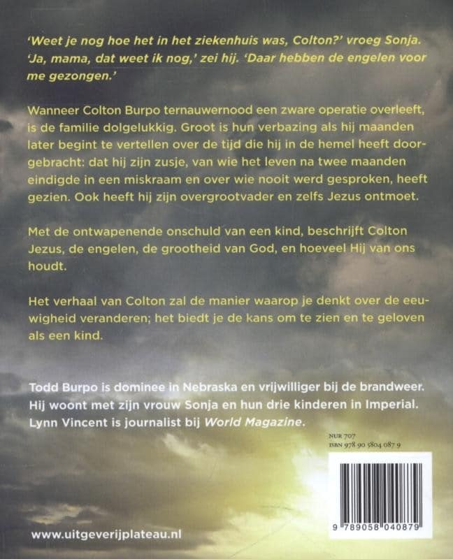 De jongen die in de hemel wasbackcover