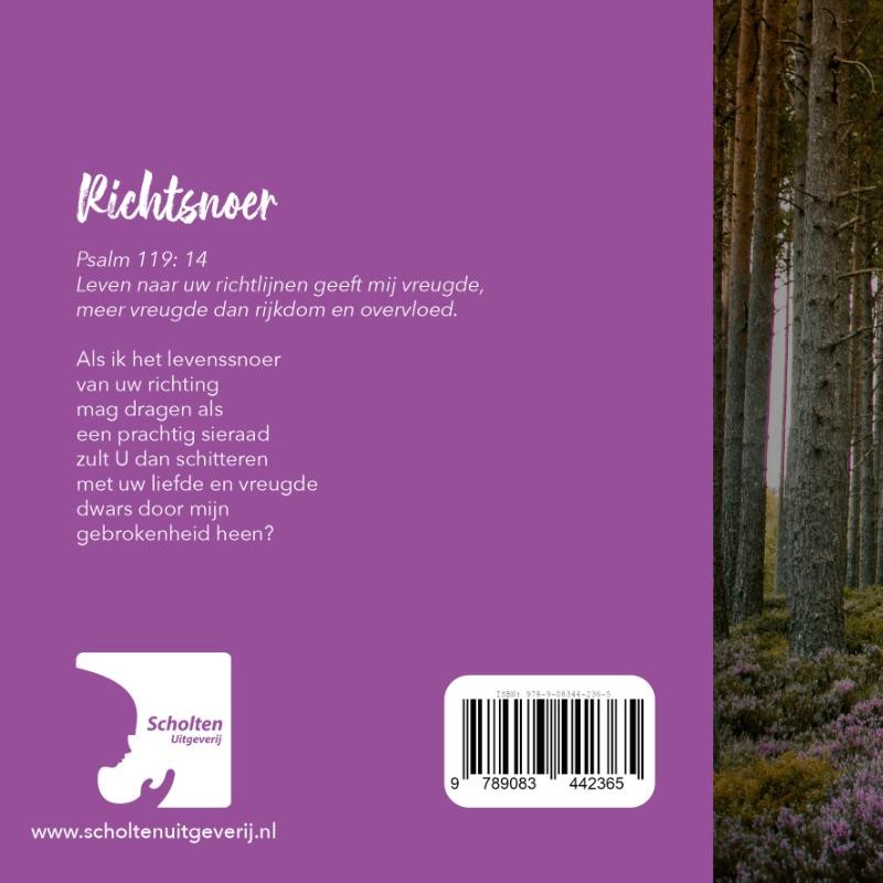 Richtsnoerbackcover