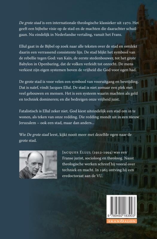 De grote stadbackcover