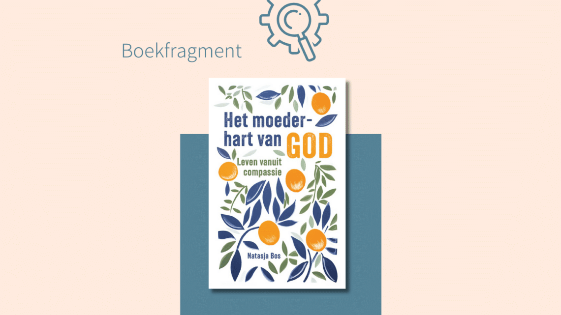 Format boekfragment voor website Boek Het moederhart van God van Natasja Bos