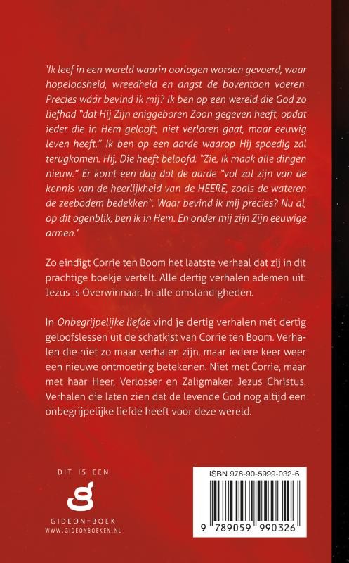Onbegrijpelijke liefdebackcover