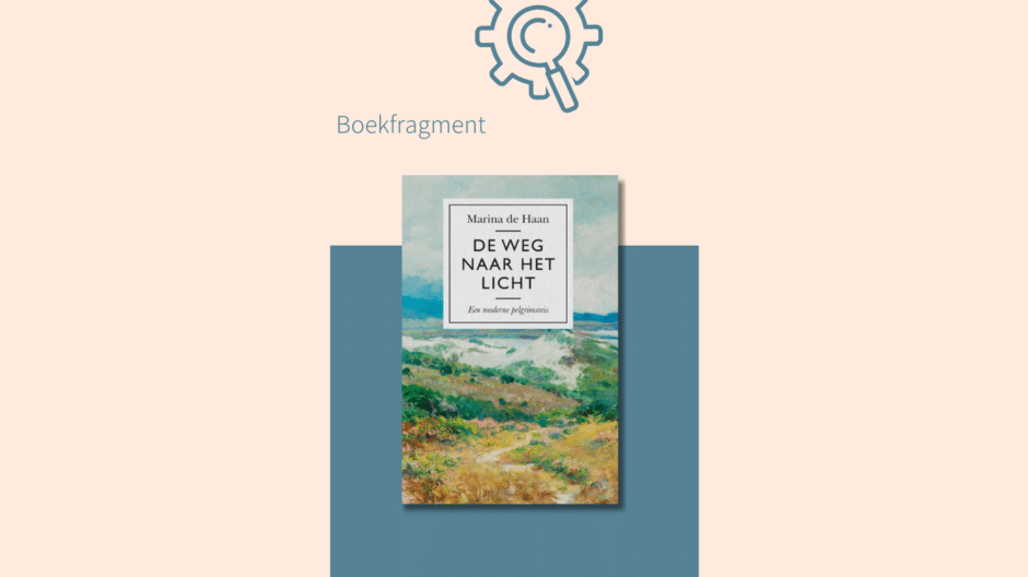 Boek De weg naar het licht van Marina de Haan