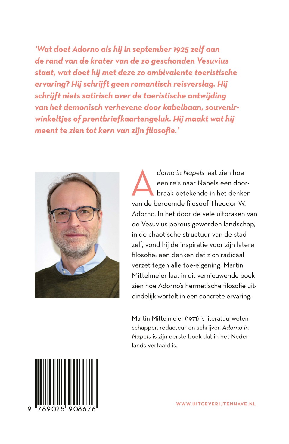 Adorno in Napelsbackcover
