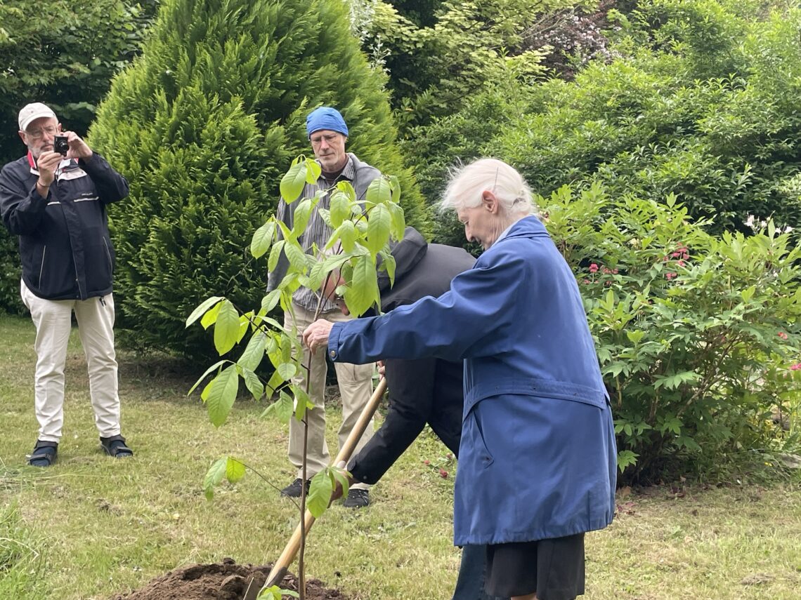 Boomplanting door zuster Herlinde