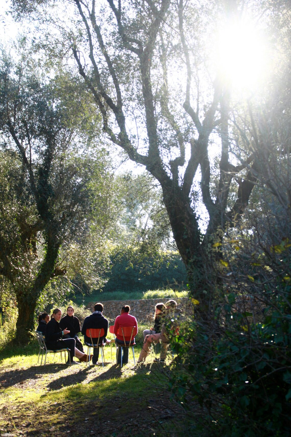 Groep mensen die in een kring in het bos zitten en in gesprek zijn met elkaar