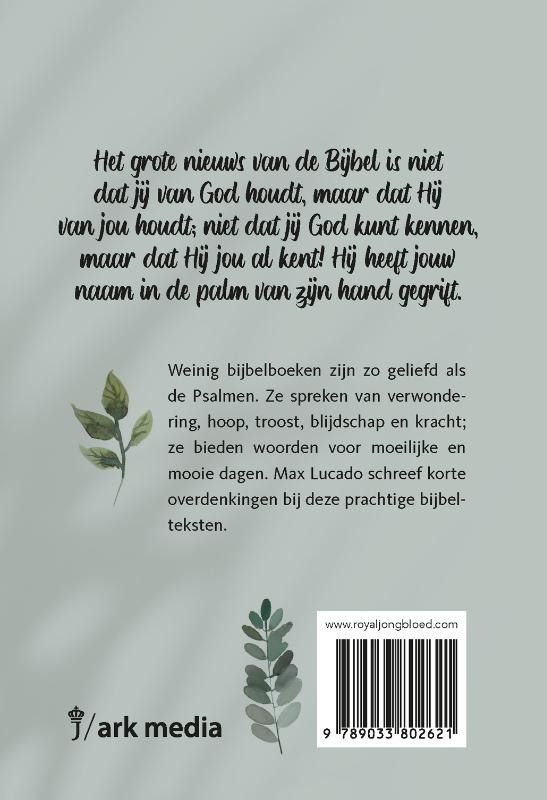 In de palm van Gods handbackcover