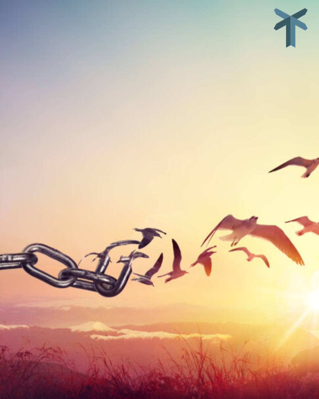 Ketting die verandert in vogels die wegvliegen