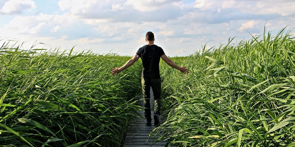 Man loopt door hoog gras