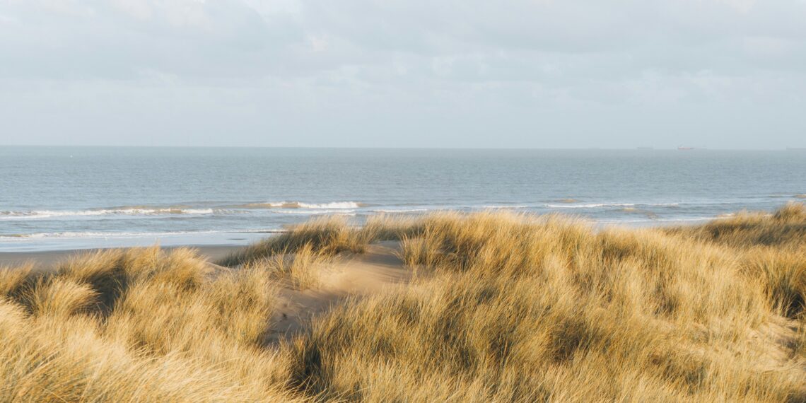 Duinen met daarachter de zee