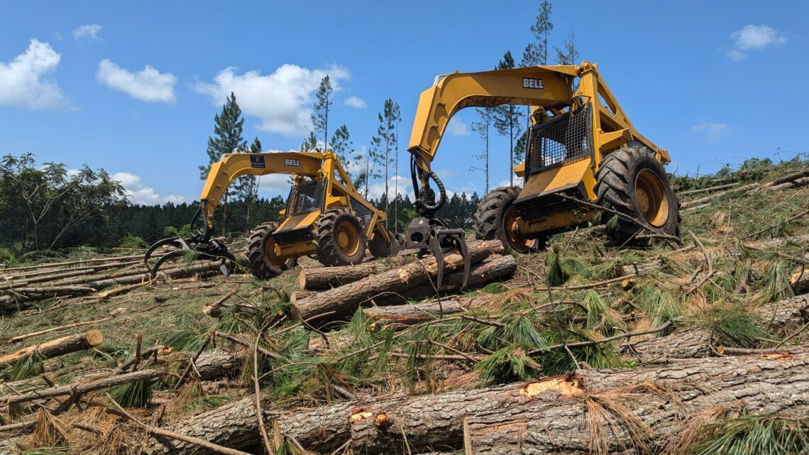 Hijskraan die hout aan het verplaatsen is