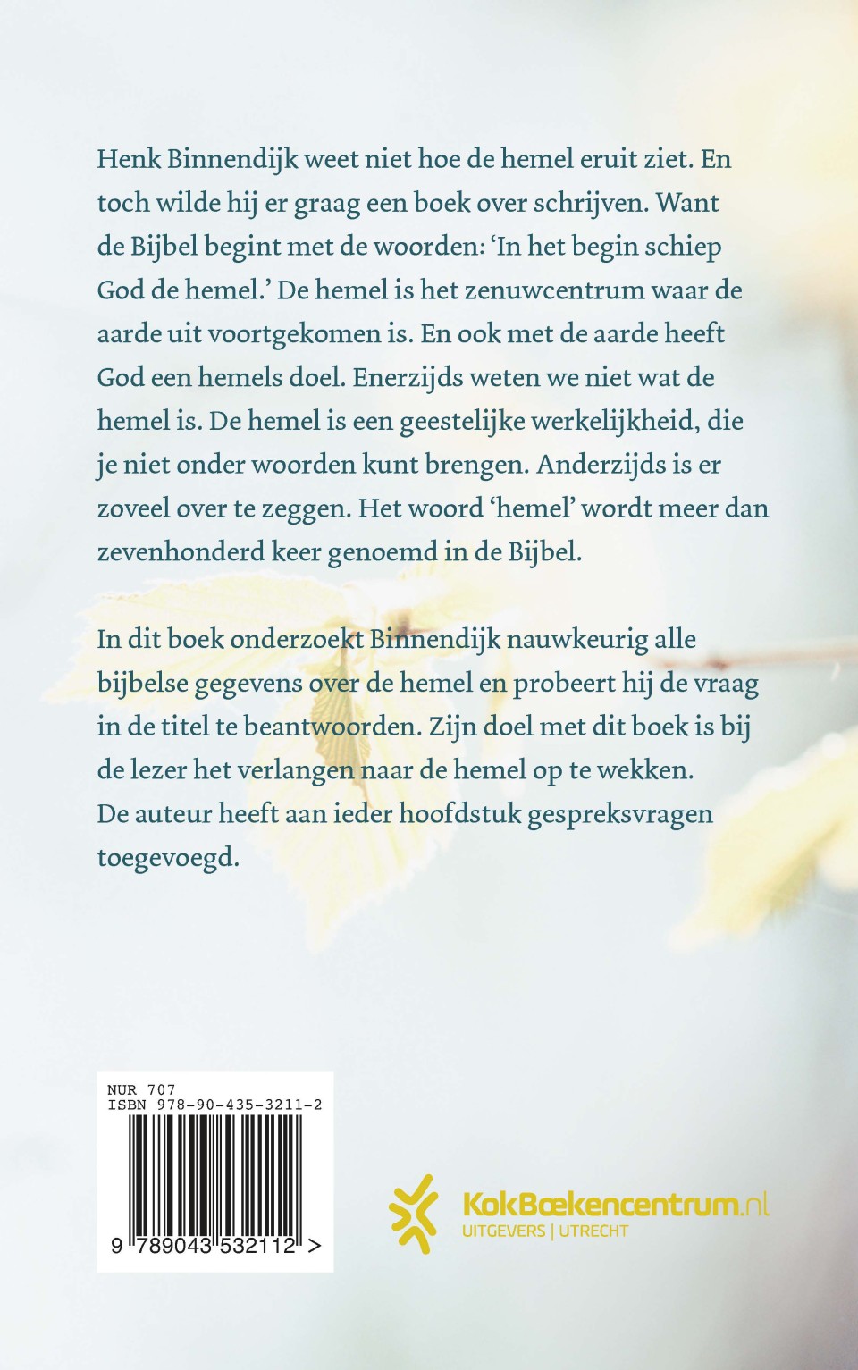 Hoe ziet de hemel eruit?backcover