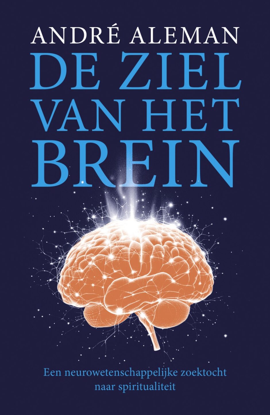 Cover De ziel van het brein