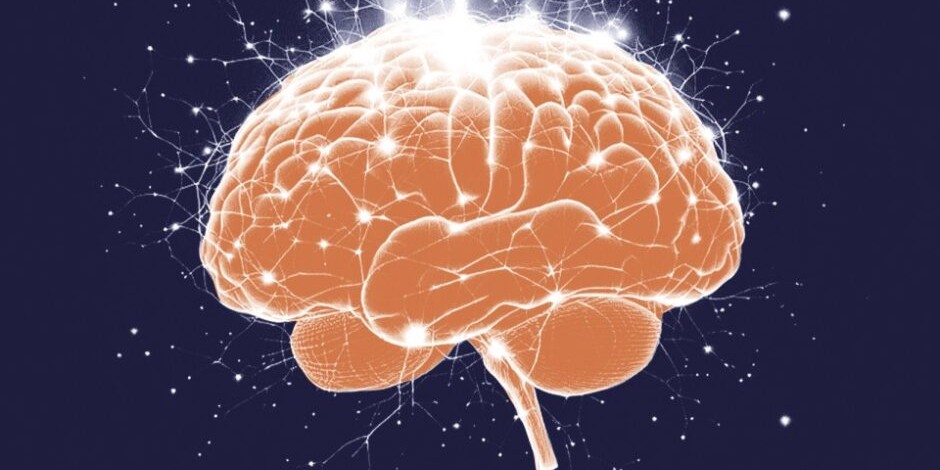 De ziel van het brein