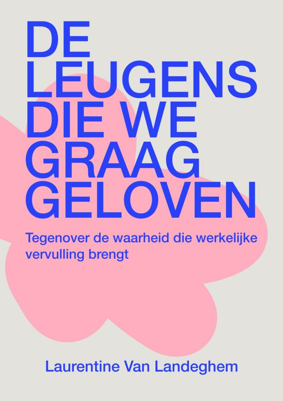Cover De leugens die we graag geloven