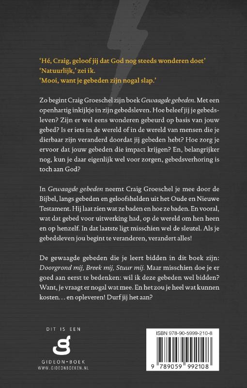 Gewaagde gebedenbackcover