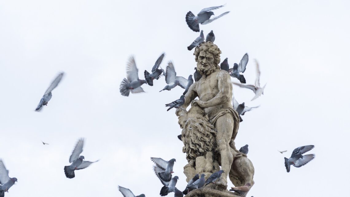 Beeld met duiven erop