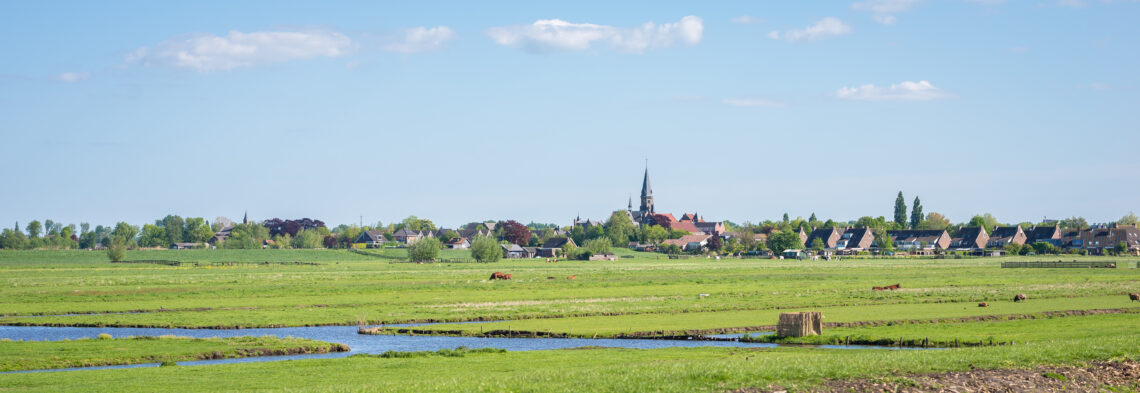 Weiland in Nederland met op de achtergrond een dorp met kerk