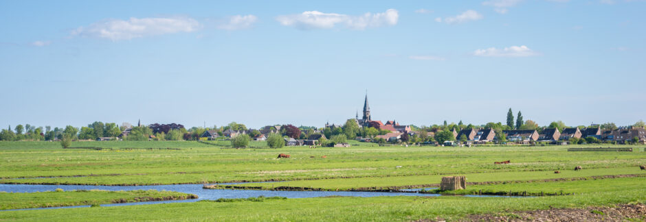 Weiland in Nederland met op de achtergrond een dorp met kerk
