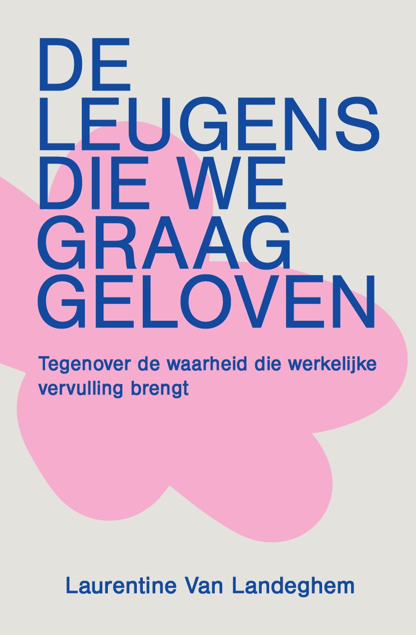 Cover De leugens die we graag geloven