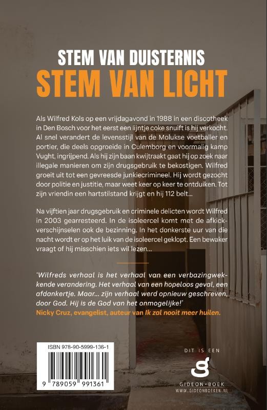 Stem van duisternis, stem van lichtbackcover