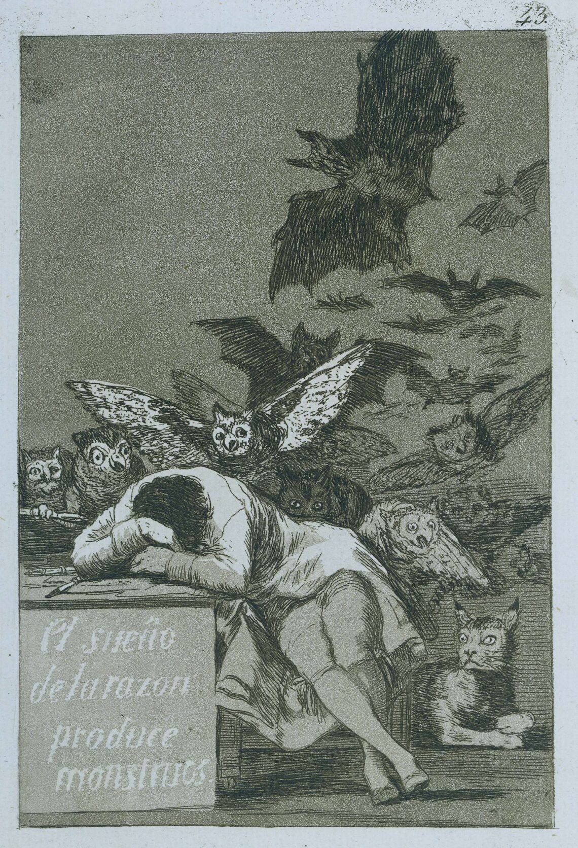 De slaap van de rede brengt monsters voort van Francisco Goya