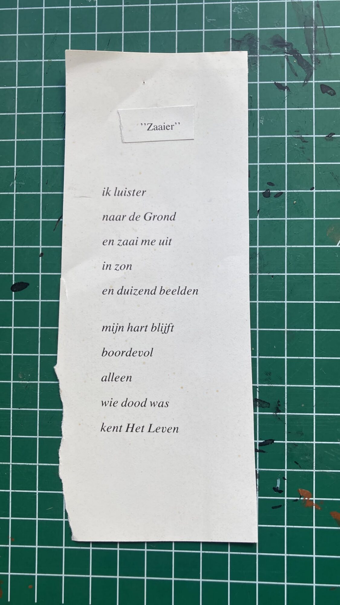Gedicht 'Zaaier'