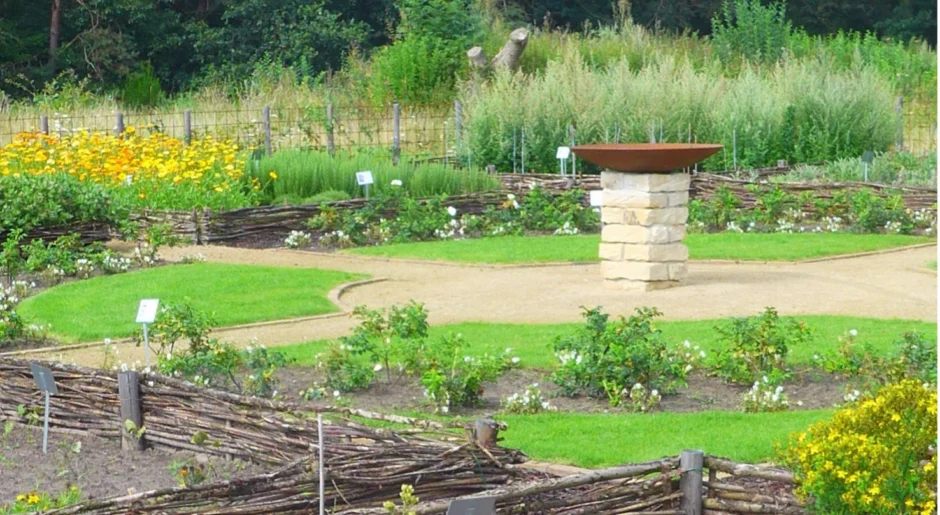 Tuin