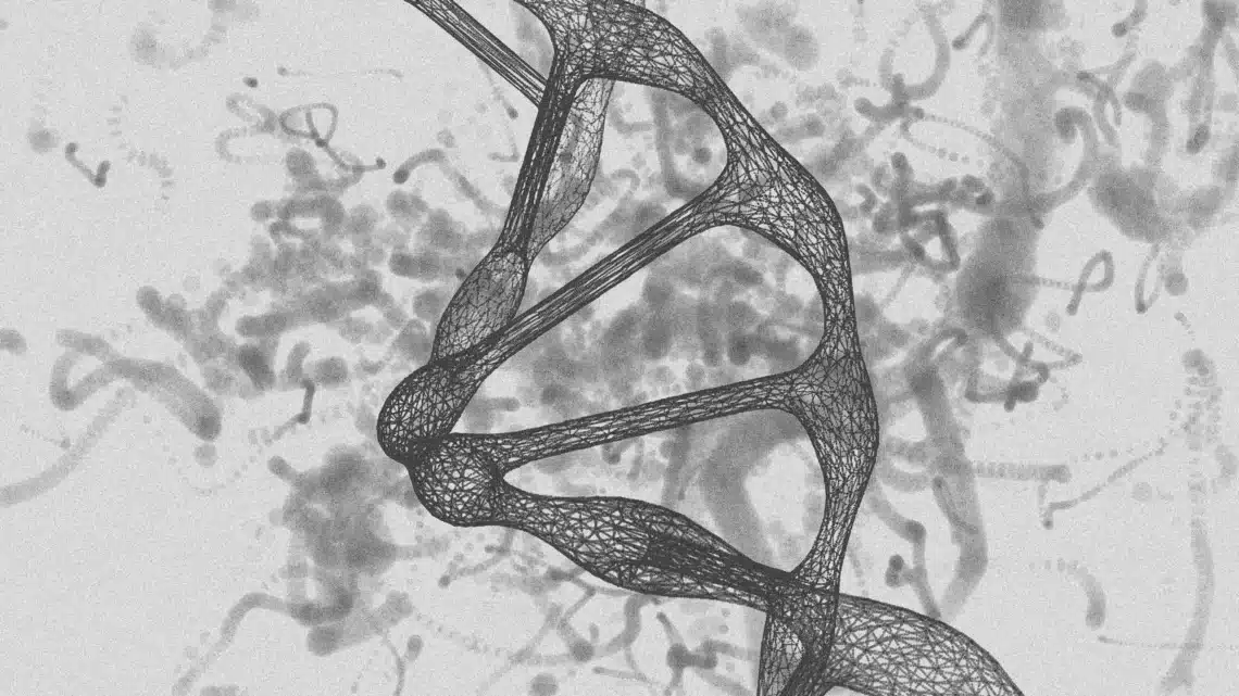 Een zwart-wit-grijs afbeelding van een menselijk DNA model